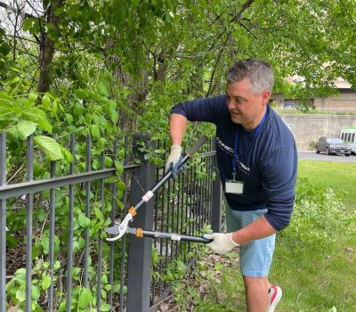 Volunteer trimming plants along a fence outdoors