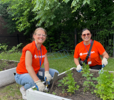 Two Meridian volunteers gardening in raised beds